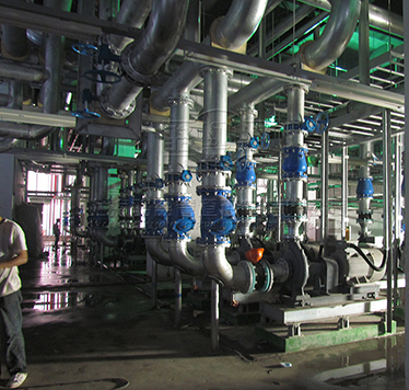 卡箍液壓<a href=http://www.xinligd.com target=_blank class=infotextkey>橡膠接頭</a>樣品圖